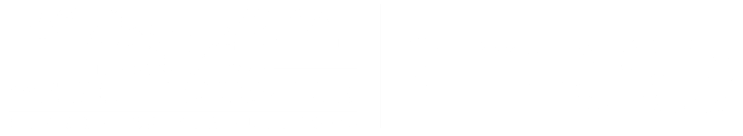 Home logo